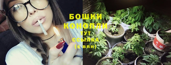 ПСИЛОЦИБИНОВЫЕ ГРИБЫ Бугульма