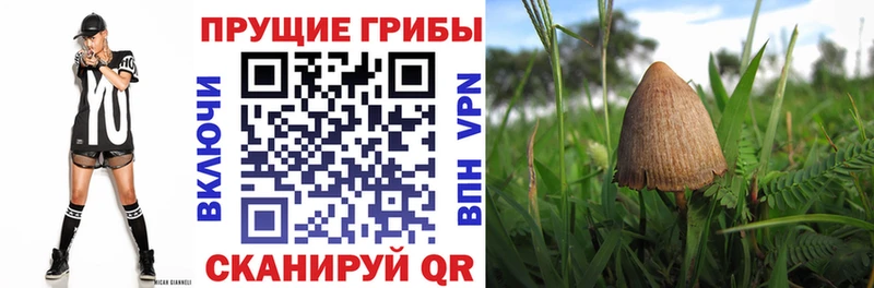 Галлюциногенные грибы мухоморы  Мценск 